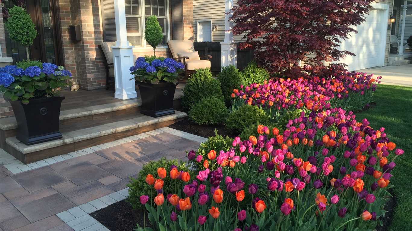 Landscaping ideas